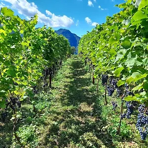 Cascina Teresina , Veleso Italia